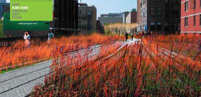 The High Line (Diller Scofidio + Renfro)